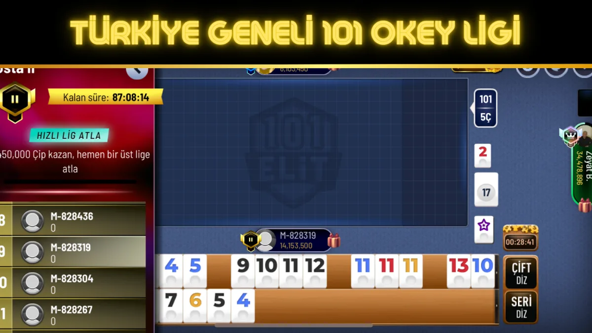 Türkiye geneli 101 okey ligi